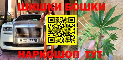 крисы Бузулук