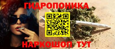 крисы Бузулук