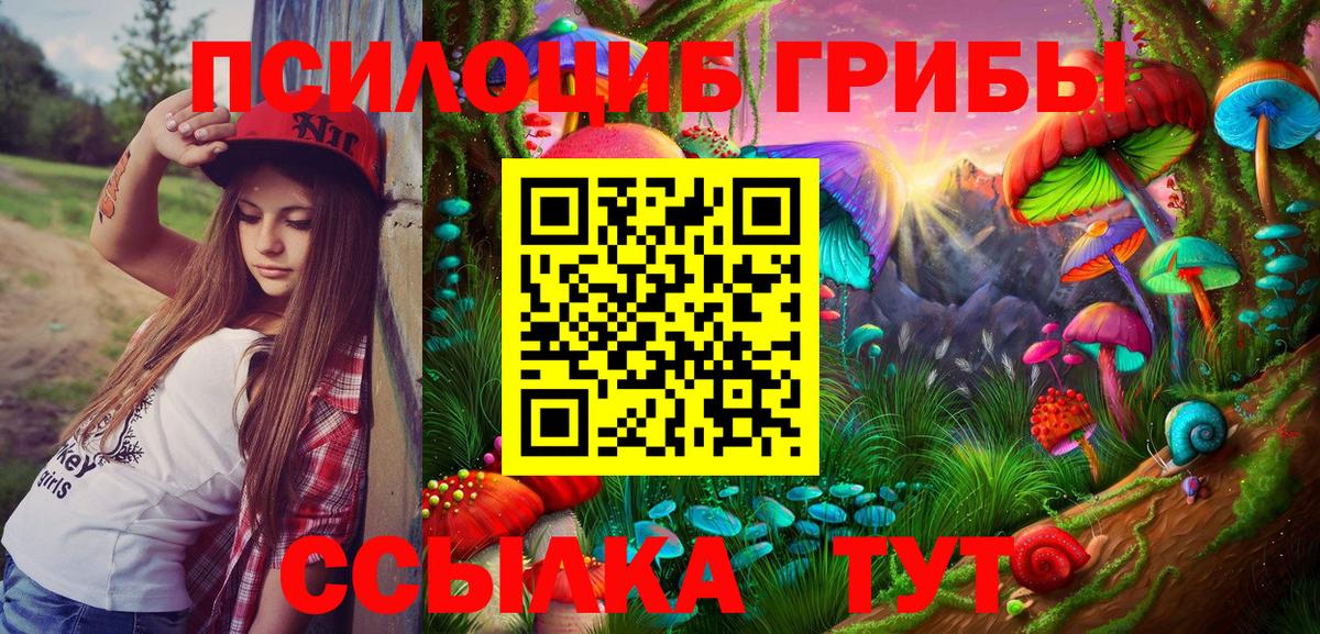 Галлюциногенные грибы Cubensis  закладка  Орск  Вход с VPN 